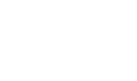 AgonSwim.com Wiki
